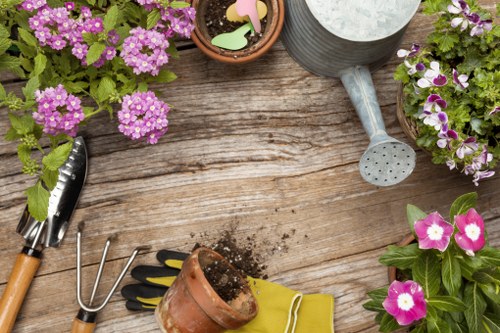 Illustration for essential cookie use on Landscaping Blackwall website