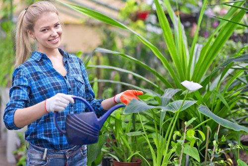 Blackwall landscaping with attractive planting and modern paving