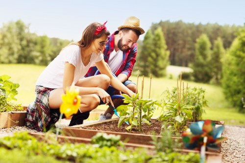Landscaping Blackwall outdoor design and planting concept