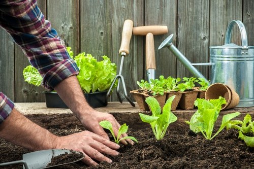Load-based garden clearance pricing for a Blackwall property