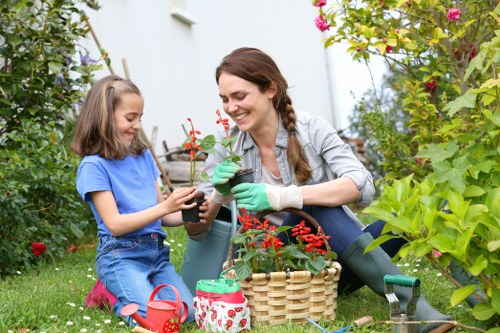 Professional turf laying work in a compact outdoor space