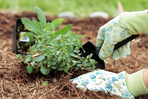 Donation-ready reusable landscaping materials prepared for charity reuse
