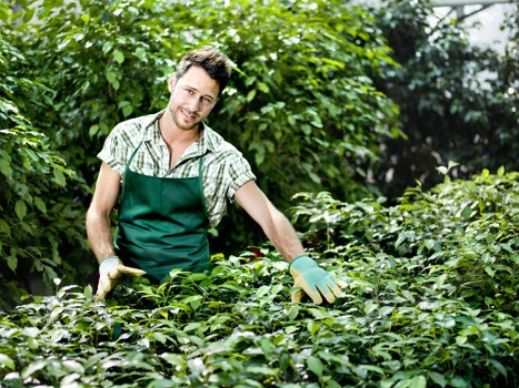 Landscape maintenance activity with safety controls