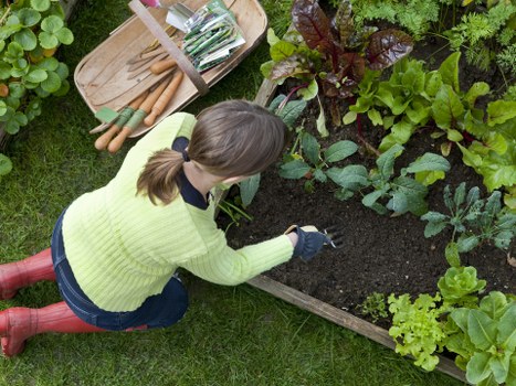 Stylish landscape planting and hardscaping in Blackwall