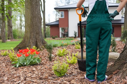 Garden redesign process showing outdoor space preparation in Blackwall