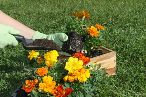 Local Blackwall landscaping project with planting, edging, and outdoor seating area